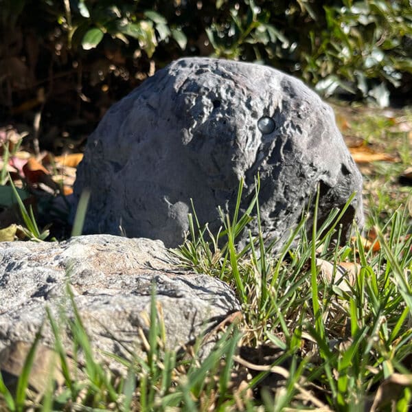 SG Xtreme Life Solar Rock - Image 3