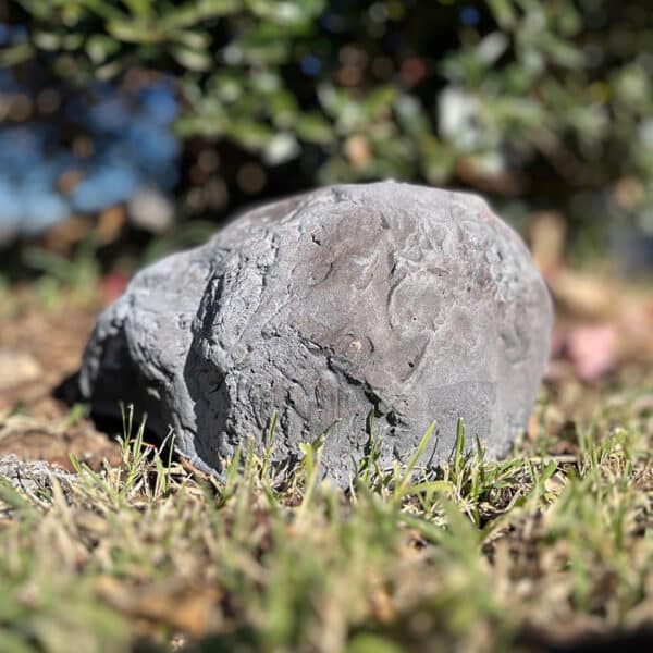 SG Xtreme Life Solar Rock - Image 4