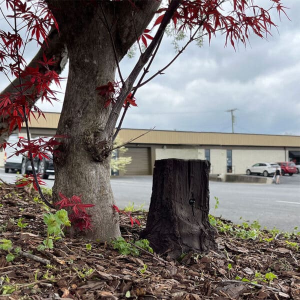SG Xtreme Life Solar Landscape Tree Stump - Image 7