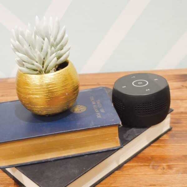 Bluetooth Speaker Hidden Camera - Image 5