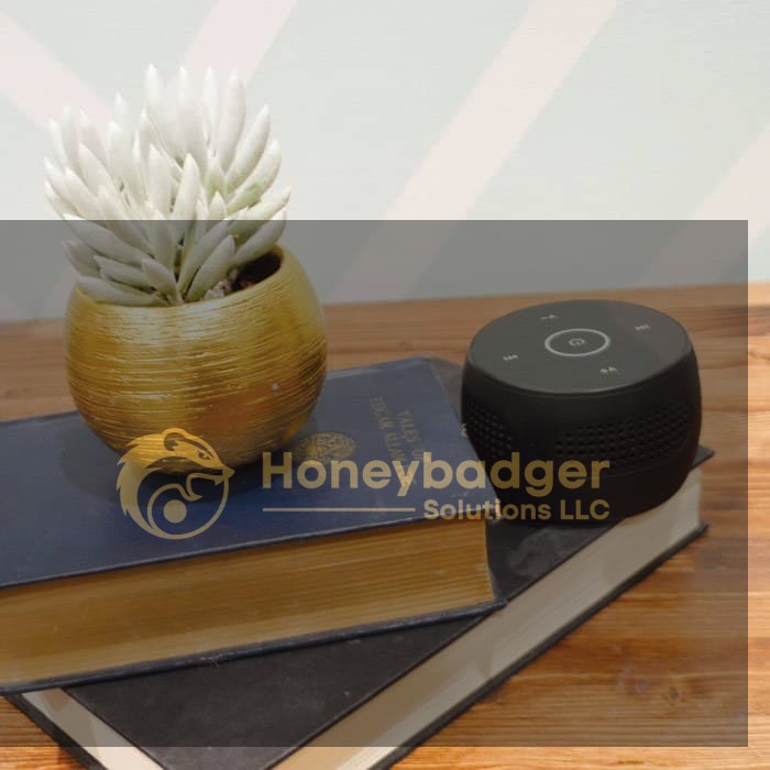 A Bluetooth speaker and a small succulent in a gold pot placed on top of two stacked books.