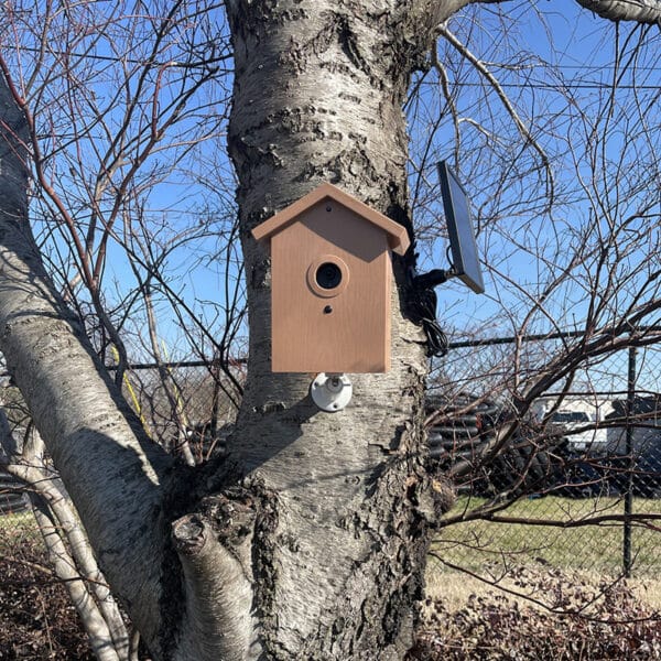 SG Xtreme Life Bird House - Image 3