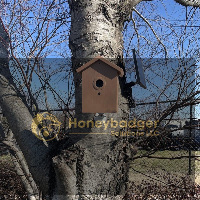 SG Xtreme Life Bird House with a round entrance mounted on a tree trunk, accompanied by a nearby camera or sensor device.