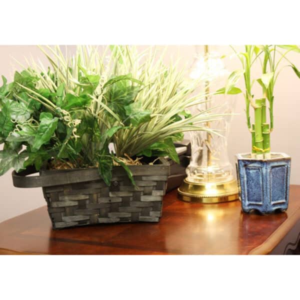 Xtreme Life 4K Plant Camera DVR - Image 5
