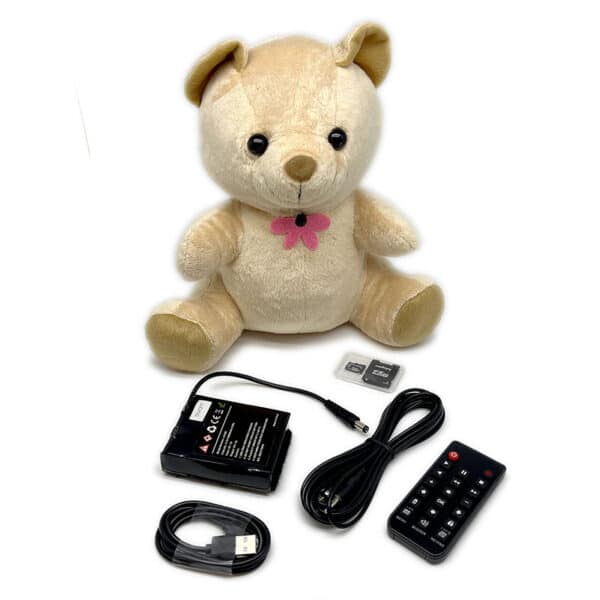 Xtreme Life 4K Teddy Bear DVR - Image 6